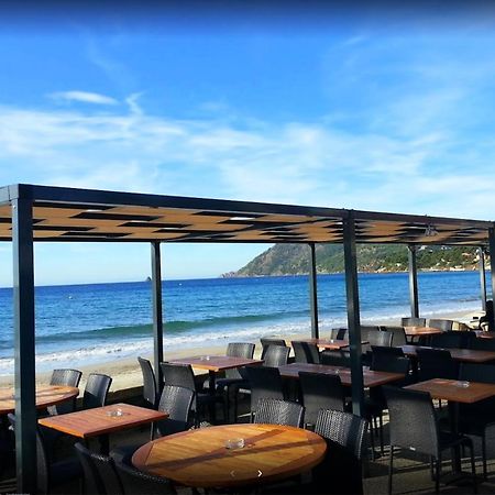Bas De Villa Jardin Plein Sud Proche Mer Clim-Wifi Saint-Mandrier-sur-Mer Εξωτερικό φωτογραφία