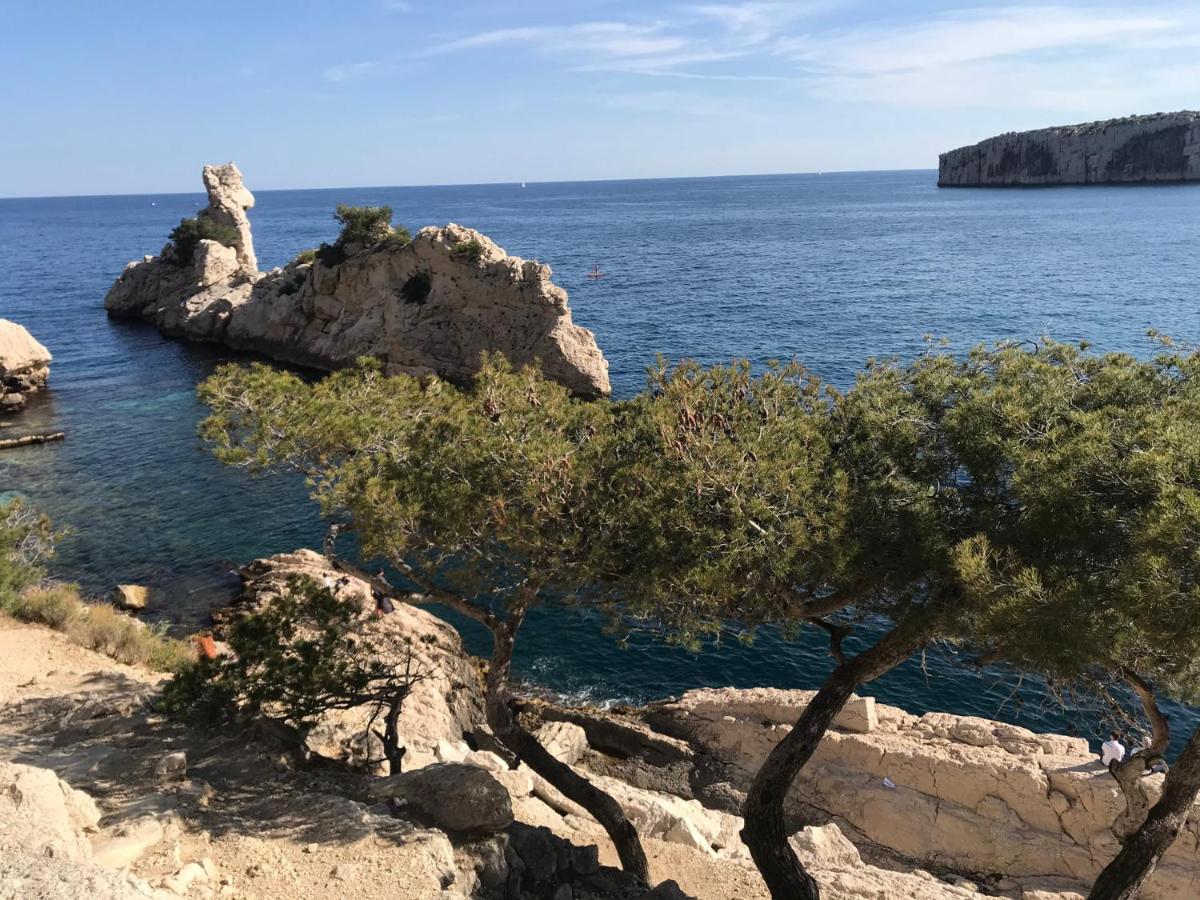 Bas De Villa Jardin Plein Sud Proche Mer Clim-Wifi Saint-Mandrier-sur-Mer Εξωτερικό φωτογραφία