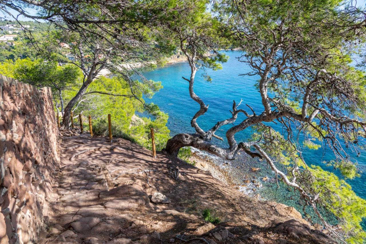 Bas De Villa Jardin Plein Sud Proche Mer Clim-Wifi Saint-Mandrier-sur-Mer Εξωτερικό φωτογραφία
