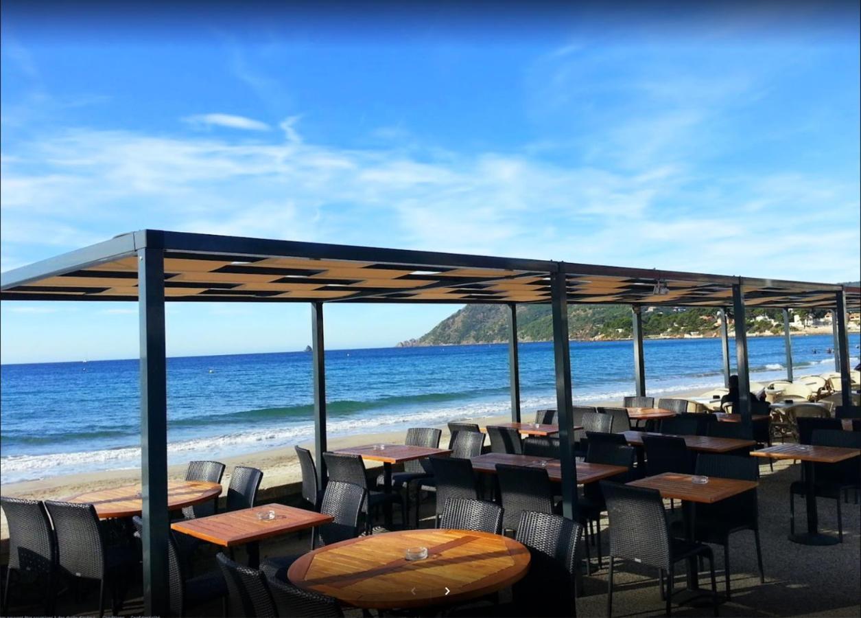 Bas De Villa Jardin Plein Sud Proche Mer Clim-Wifi Saint-Mandrier-sur-Mer Εξωτερικό φωτογραφία