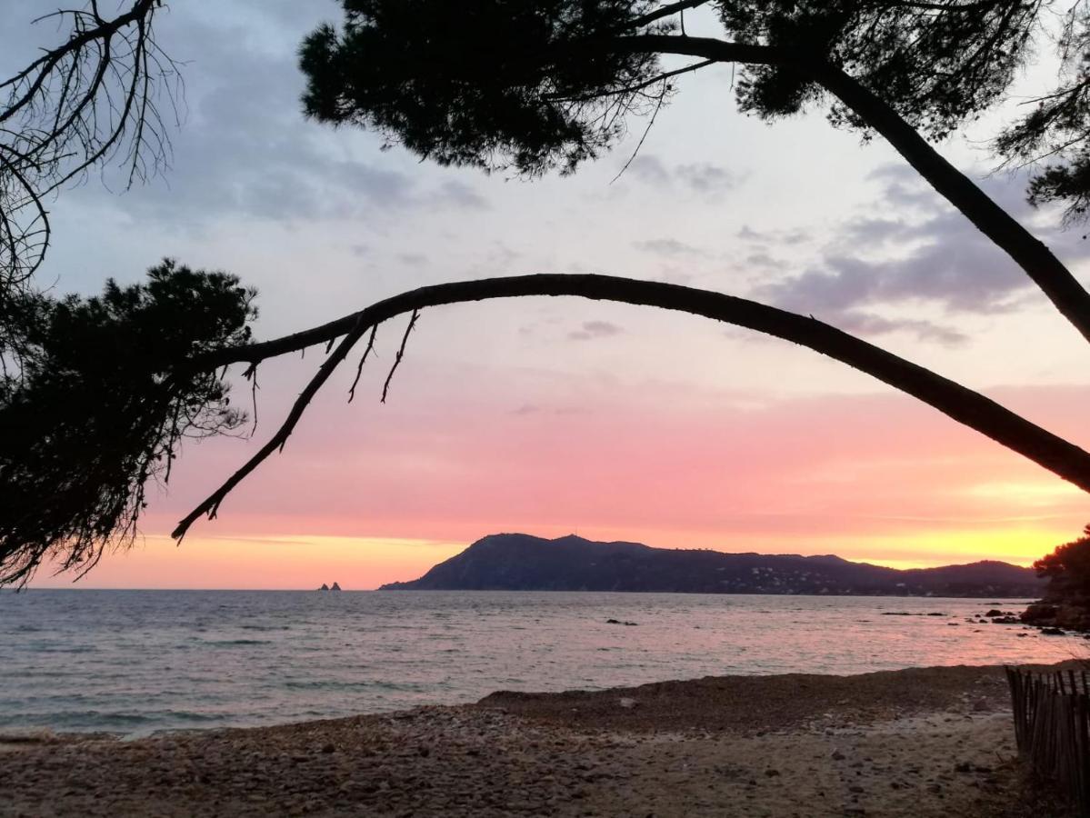 Bas De Villa Jardin Plein Sud Proche Mer Clim-Wifi Saint-Mandrier-sur-Mer Εξωτερικό φωτογραφία